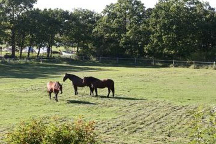Property Grounds 23 of 28