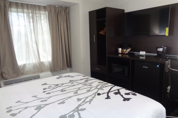 2 Queen Beds Accessible (12 of 50)