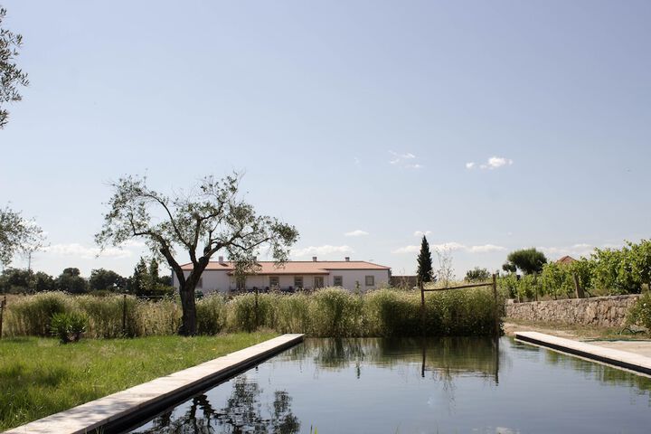 Hotel with Pool
