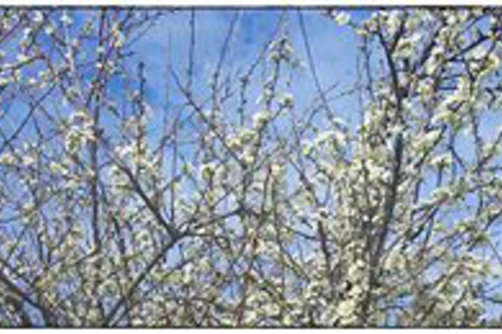 Hotel Exterior 17 of 62