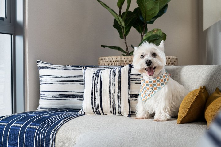 Pet Friendly 20 of 30