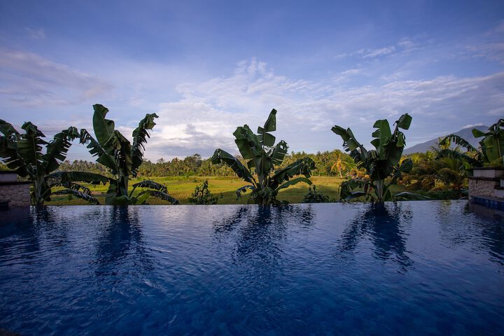 Pool 25 of 43