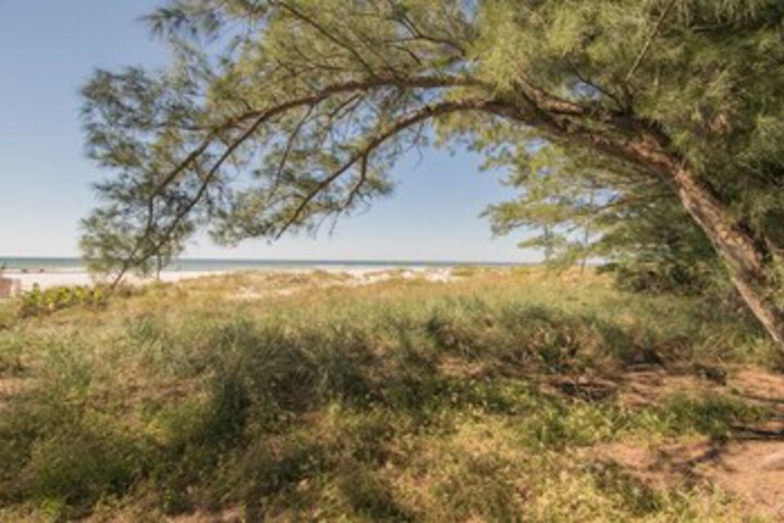 Beach 7 of 45