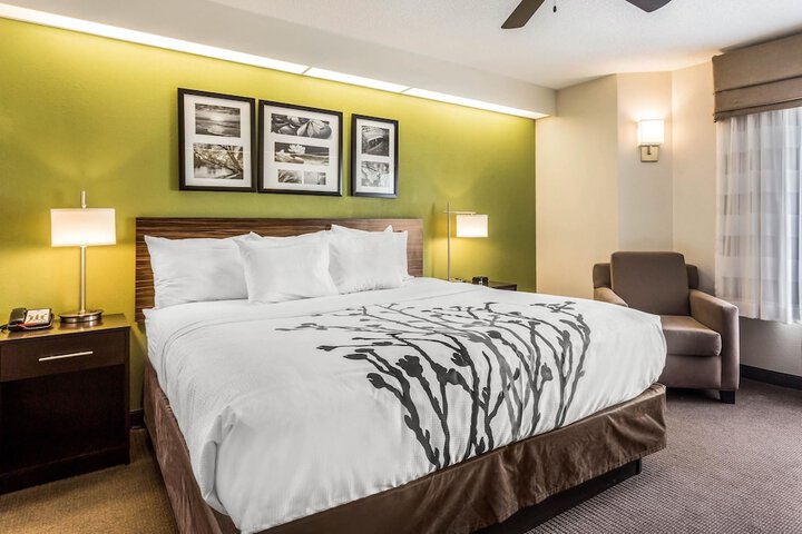 Standard | King Bed (2 of 9)