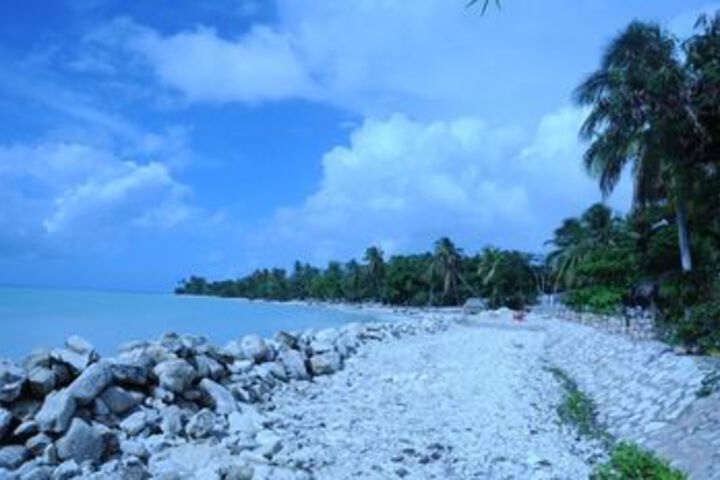 Beach 2 of 52