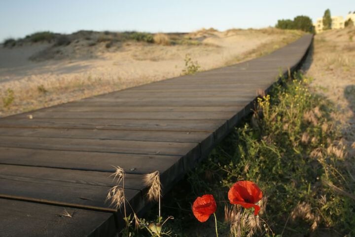Beach 32 of 45