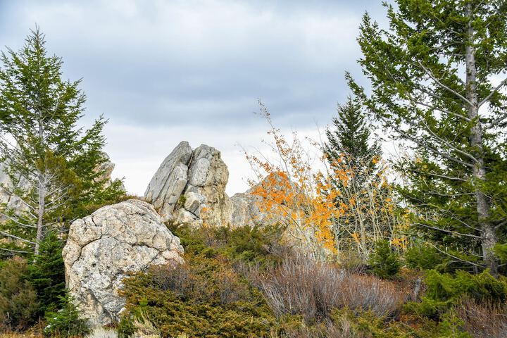 Outdoor Activities 34 of 46