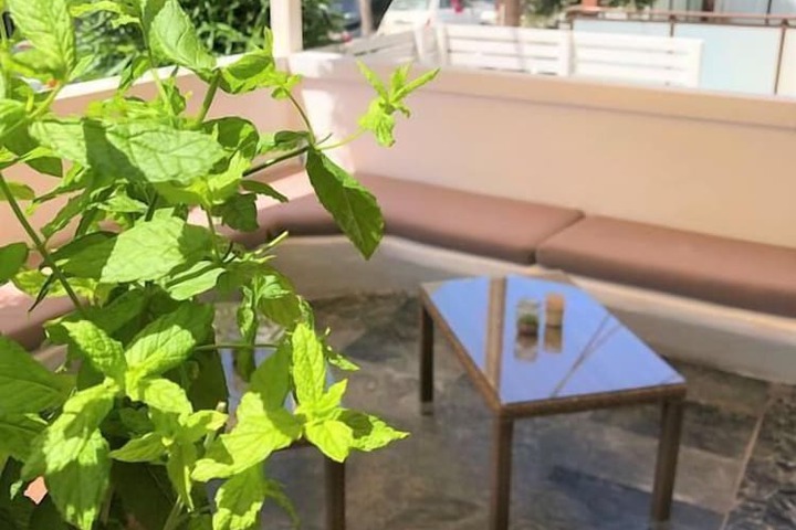 Terrace/Patio 19 of 19
