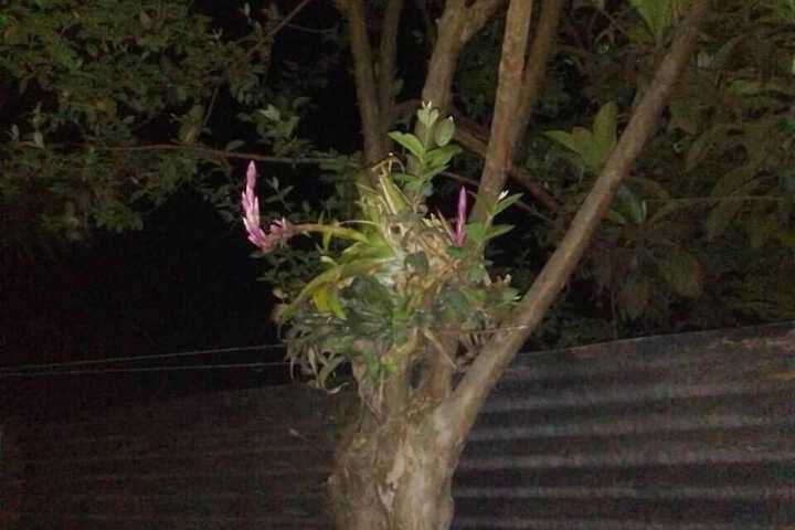 Property Grounds 28 of 39
