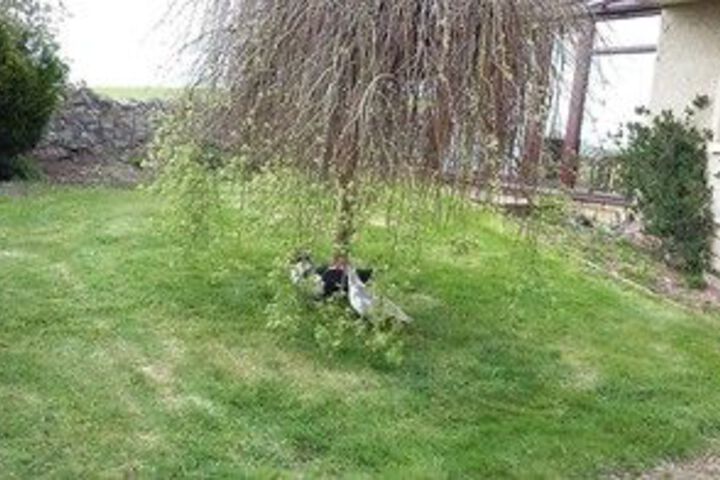 Spa and Wellness Pictures