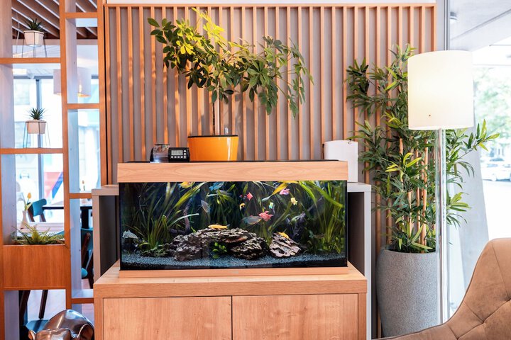 Entrance & Lobby