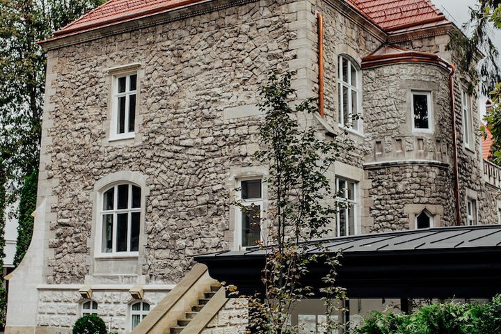 Lion's Castle in Lviv