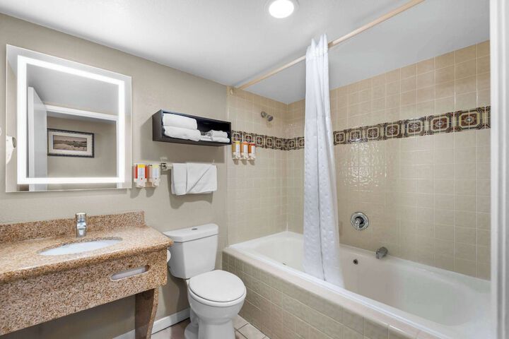 1 King Bed Accessible (1 of 12)