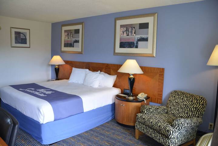 1 King Bed Pet Friendly (8 of 56)