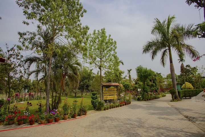 Jungle Nepal Resort in Sauraha