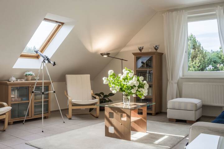Room 13 of 48