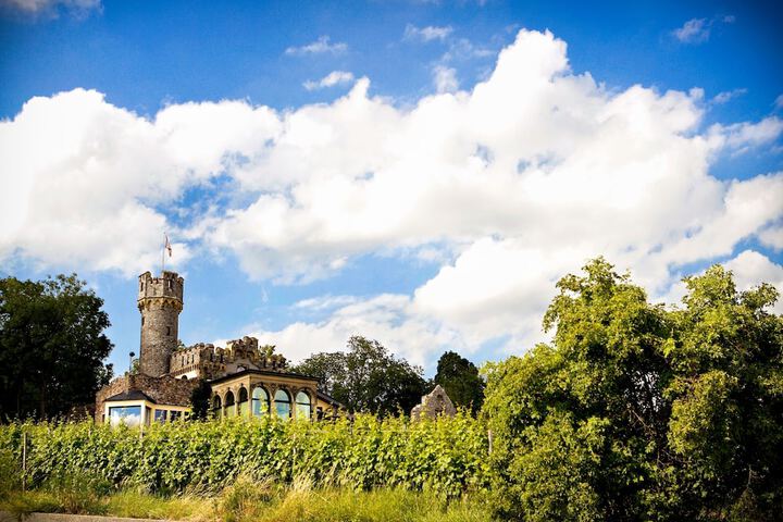 Burg &  Gästehaus by Schwarzenstein in Geisenheim