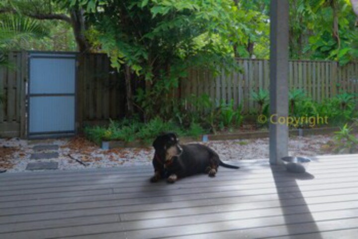 Terrace/Patio 21 of 22