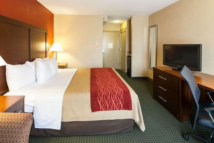 1 King Bed (5 of 11)