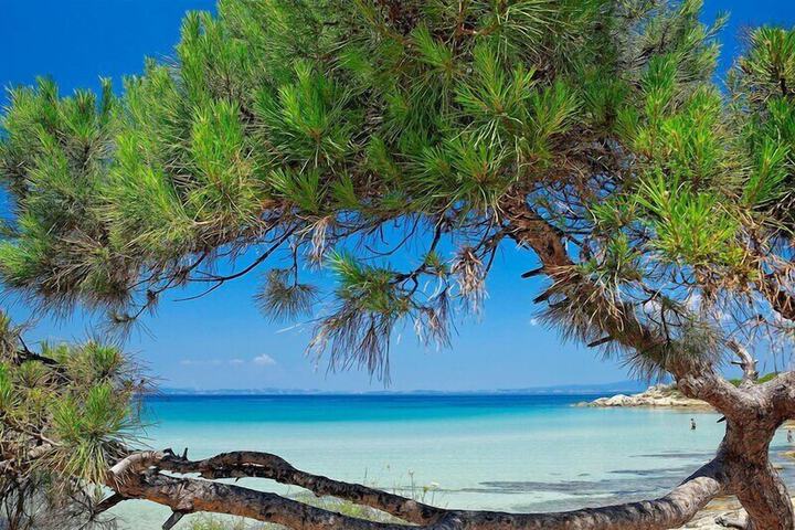 Beach 534 of 611