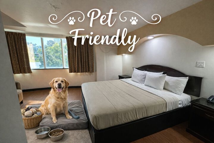 Pet Friendly 51 of 89