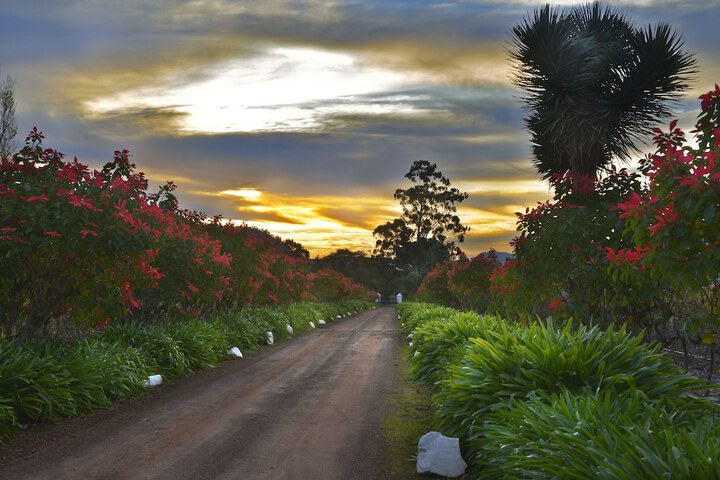 Property Grounds 26 of 29