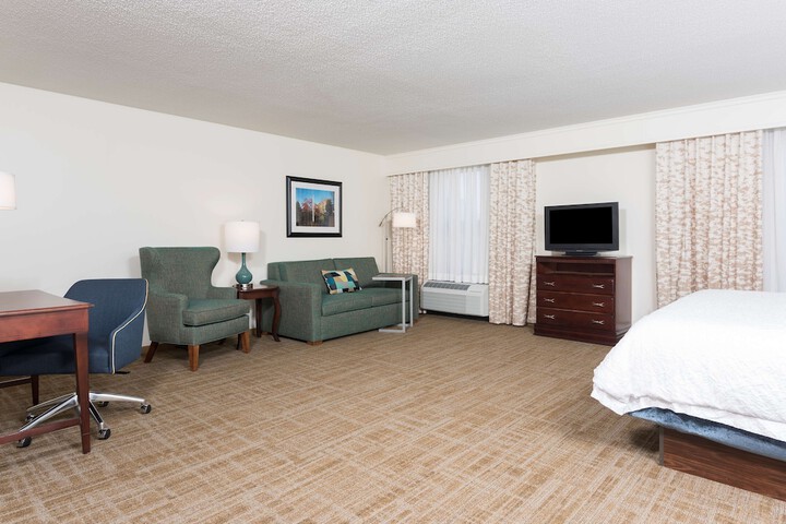 1 King Bed with Sofa Bed and Refrigerator (10 of 17)