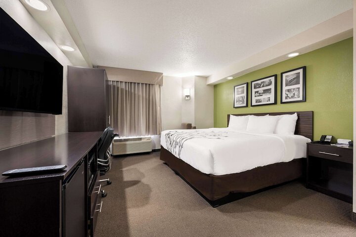 1 King Bed (4 of 6)