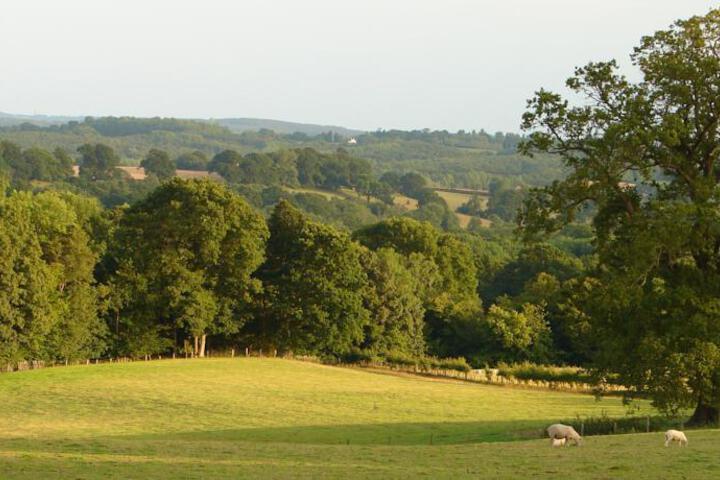 SOUTHGATE - LITTLE FOWLERS