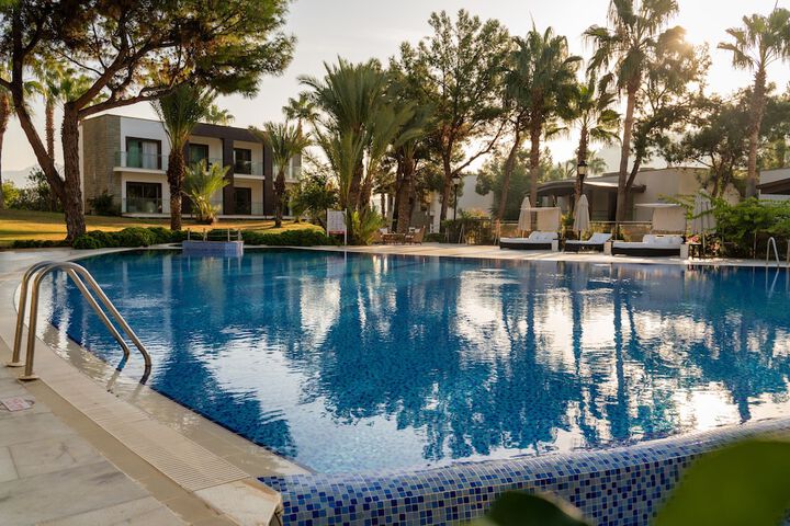 Pool 38 of 79