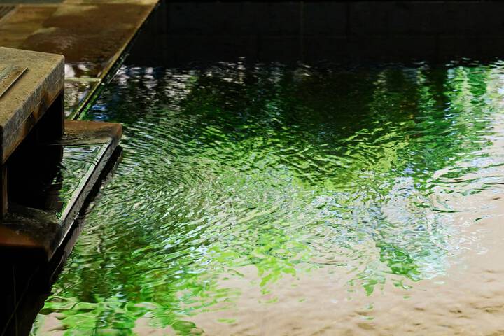 Public bath