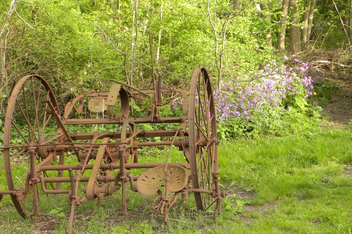 Property Grounds 104 of 121