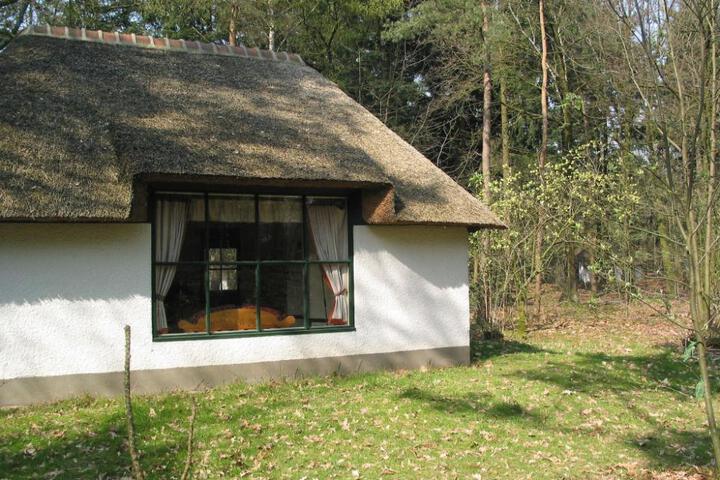Forest Villa in Herperduin with Bubble Bath