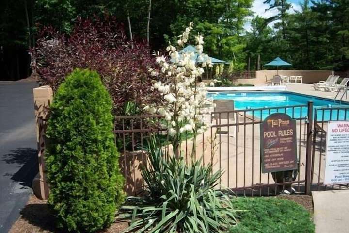 Pool 12 of 65