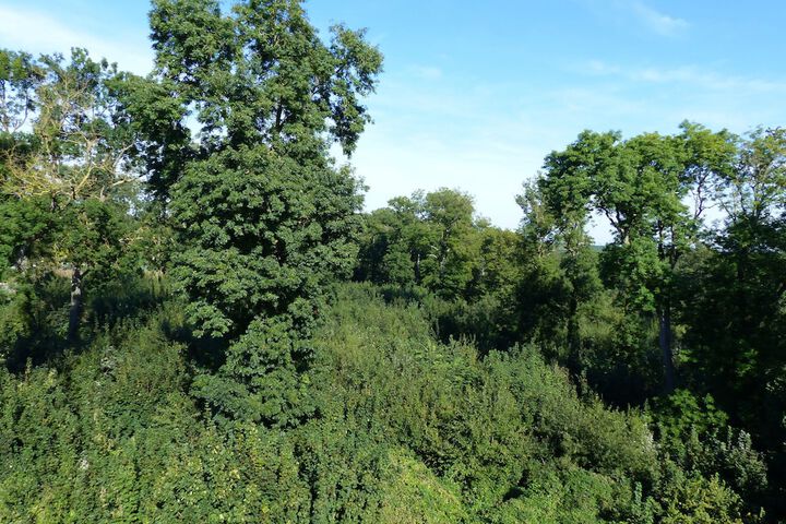 View from room