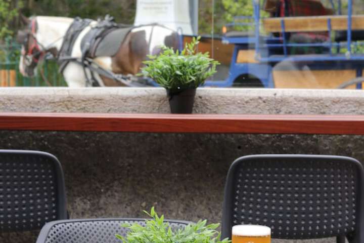 Terrace/Patio 25 of 60
