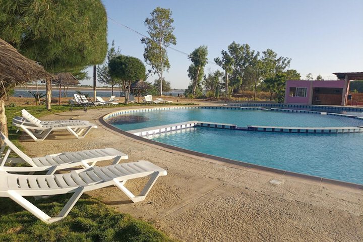 Pool 21 of 49