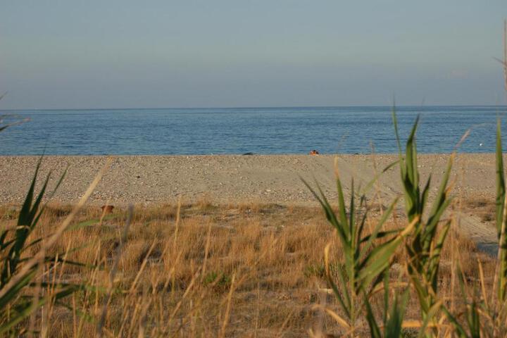 General 14 of 14