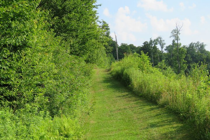 Hiking