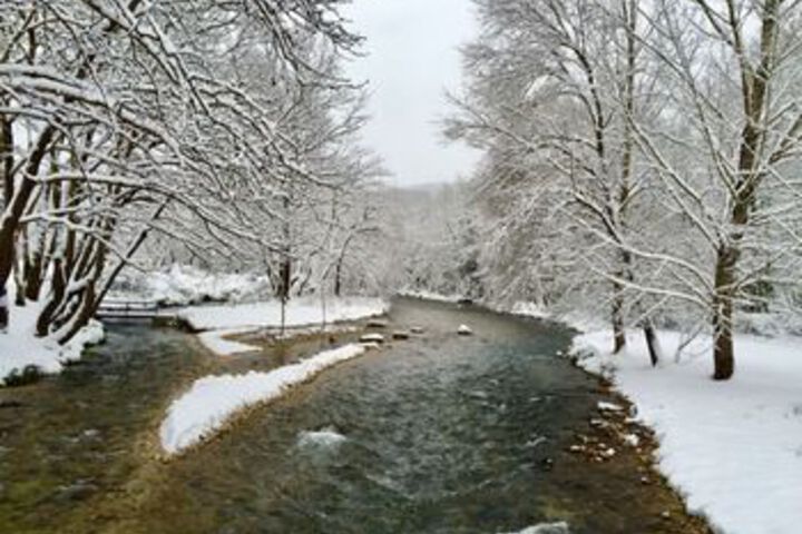 Property Grounds 17 of 20