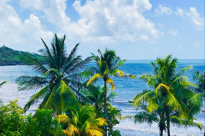 Beach 121 of 138