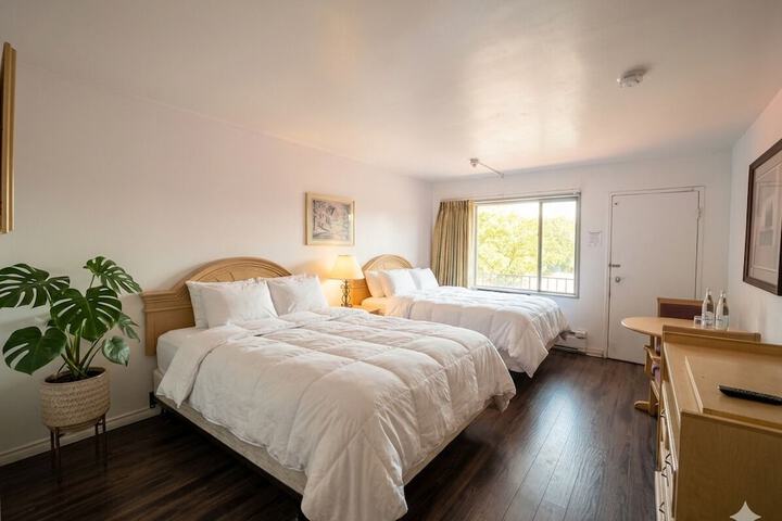 Room 19 of 52