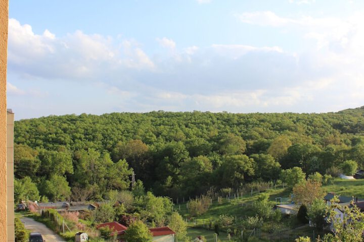 View from room