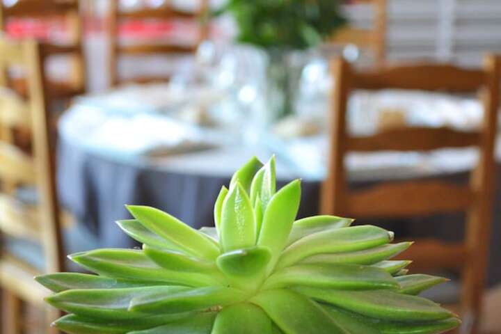 Dining 36 of 62