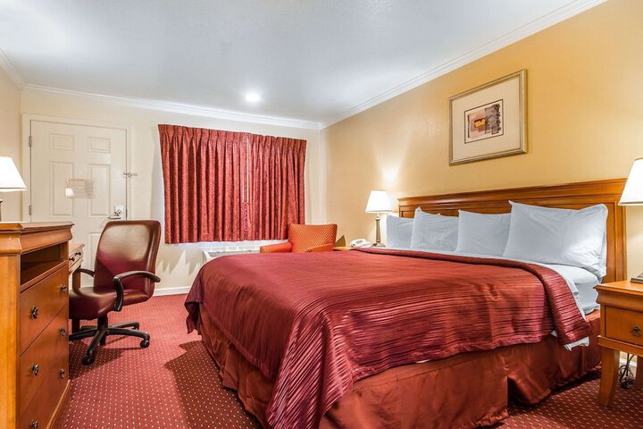 1 King Bed Accessible (8 of 16)