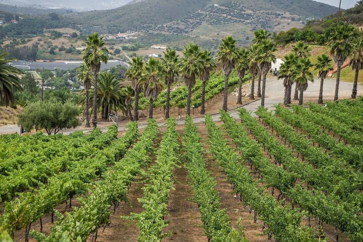 Property Grounds 54 of 65