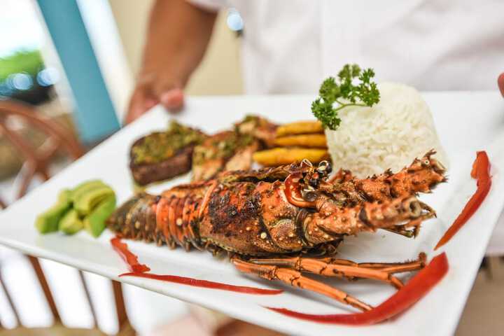 Food