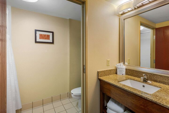1 King Bed Suite (8 of 29)