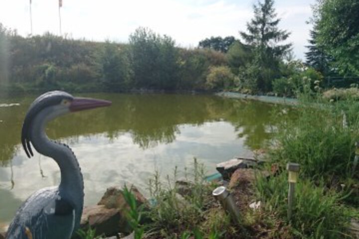 Property Grounds 51 of 53