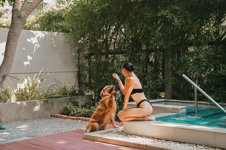 Pet Friendly 79 of 110